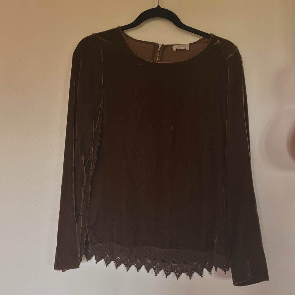 Elegant Brown Velvet Top